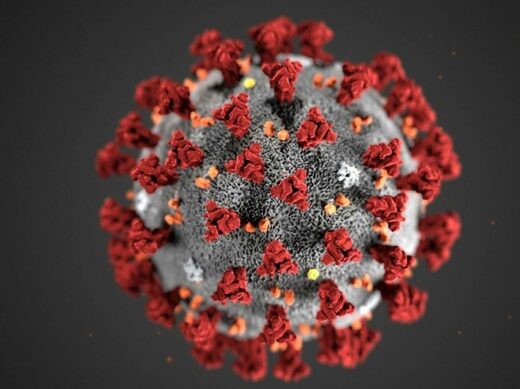 Une étude israélienne montre enfin que l'immunité naturelle est 13 fois plus efficace que les vaccins pour arrêter le variant Delta