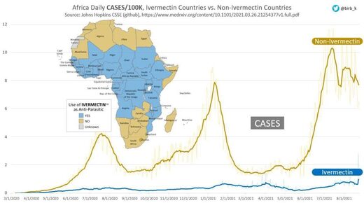 afrique ivermectine