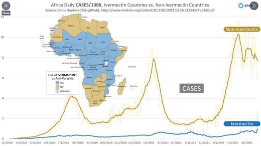 afrique ivermectine