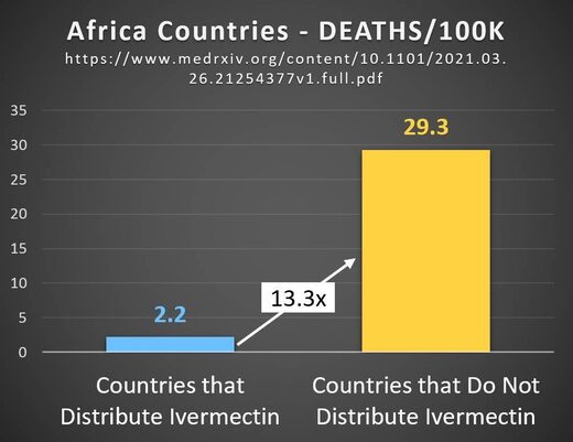 afrique ivermectine