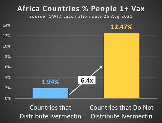 afrique ivermectine