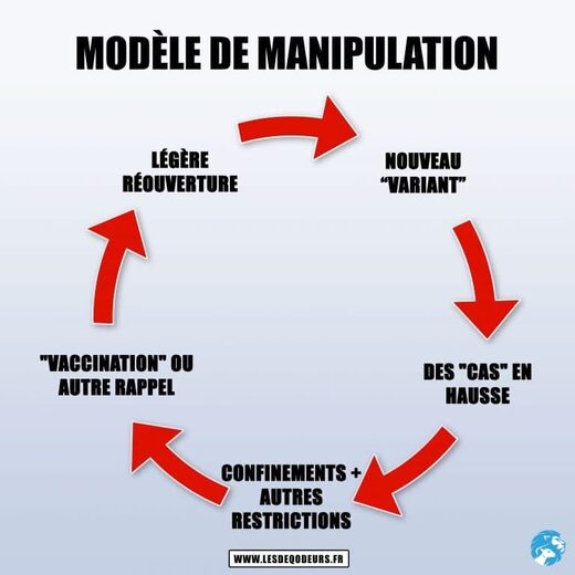 Modèle de manipulation vaccins et variants Covid-19