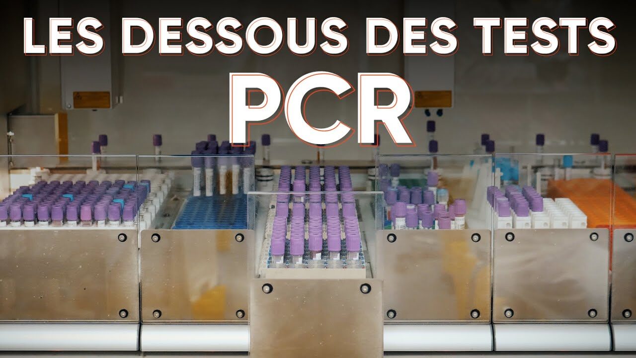 tests pcr bidon