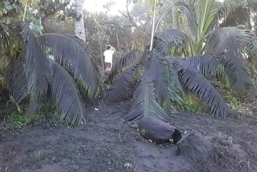 volcan yasur vanuatu