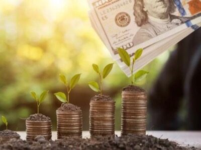 Cliquer pour agrandir Argent vert