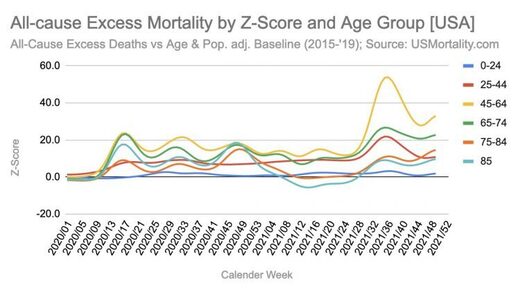 mortalité z-score groupe d'âge