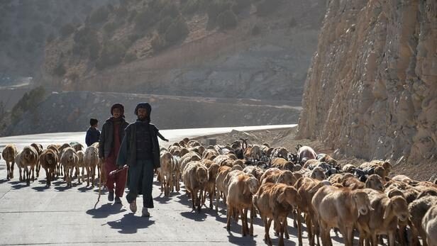 badghis agghanistan