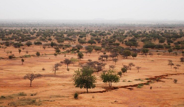 sahel