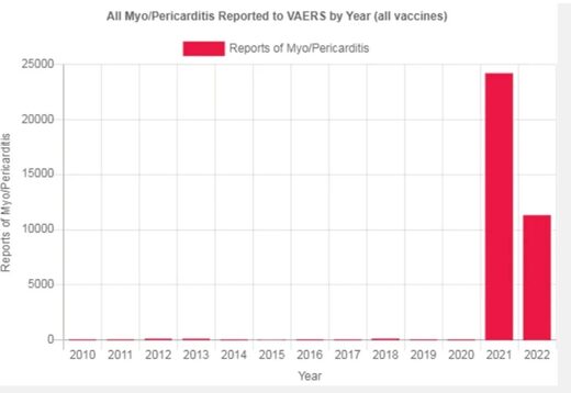 décès vaccins