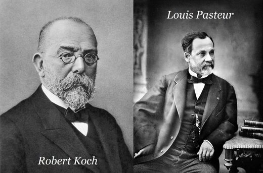 Koch et Pasteur