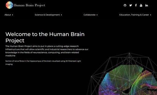 Bienvenue dans le projet sur le cerveau humain