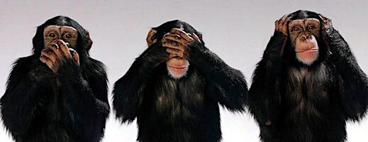 trois singes
