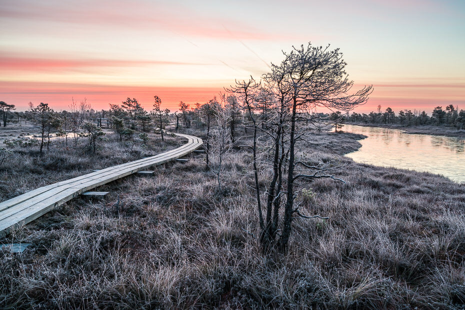 hiver paysage