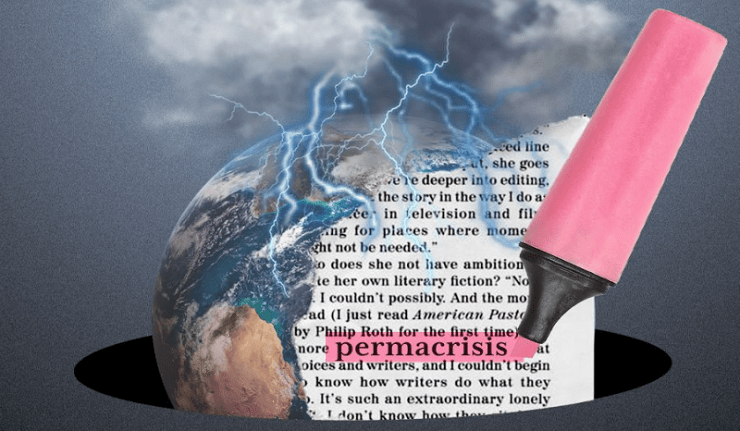 permacrisis