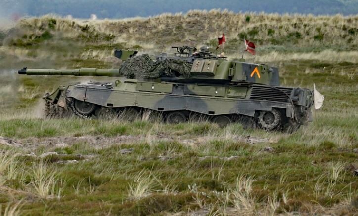 char leopard