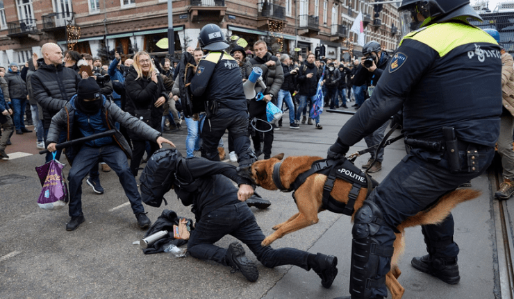 chiens policiers