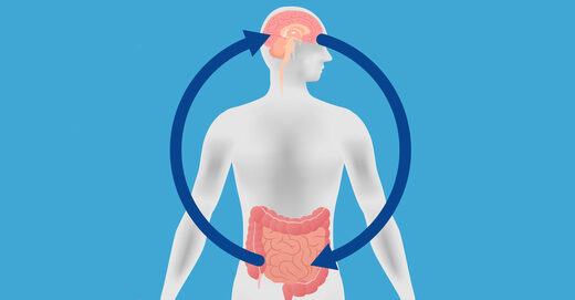 Le lien entre les bactéries intestinales et l'anxiété