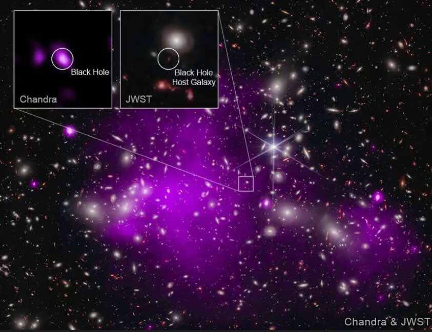 NASA : le James Webb a (encore) observé un trou noir record — Science ...