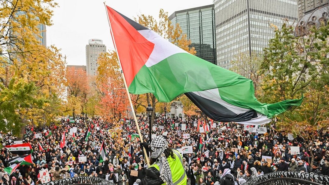 manifestation montreal palestine novembre 2023