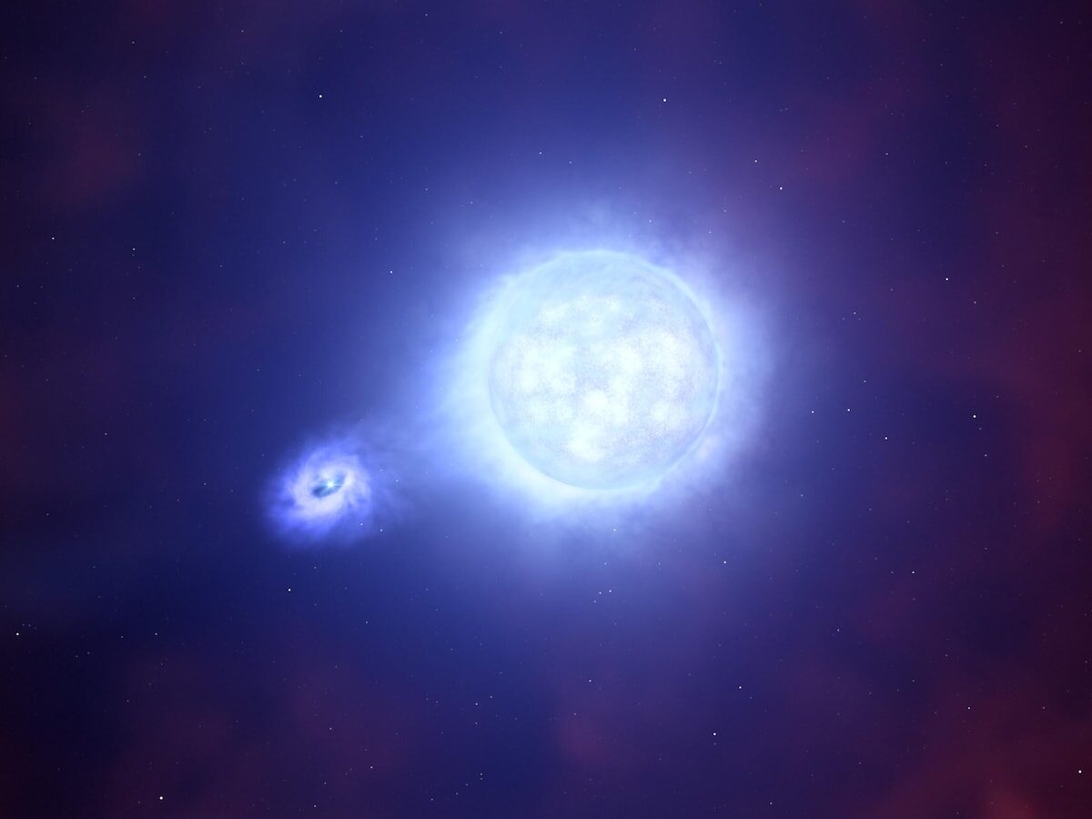 supernova sn2022jli compagnon illustration