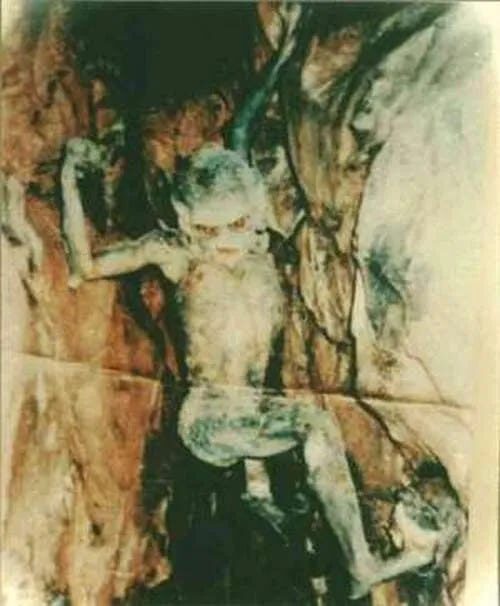 Monstre Grottes Cheddar