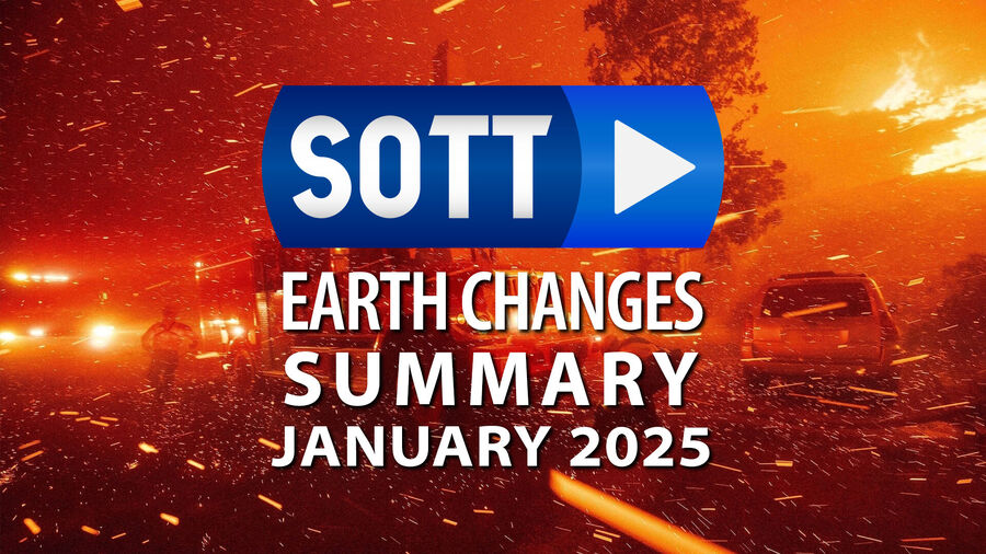 Résumé Sott janvier 2025