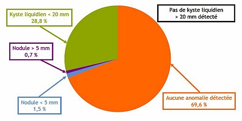 Cliquer pour agrandir Image