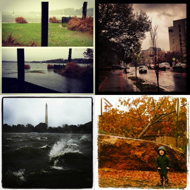 Cliquer pour agrandir Sandy Real pics