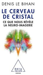 Cover book Denis le Bihan Le cerveau de cristal