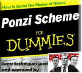 Ponzi scheme cover book