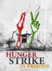 Cover book : Hunger Strike in Prisons
