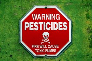 pesticides insecticides