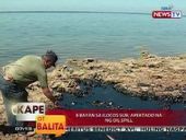 Philippinnes : une marée noire atteint les côtes nord Ouest de l'ile de Luzon
