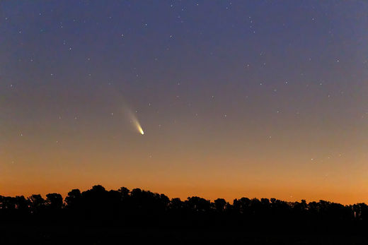 Comète PanSTARRS-Photo prise en Argentine par Luis Argerich