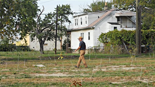 Detroit_projet_reboisement_Mike Score, l’homme qui plantait des arbres