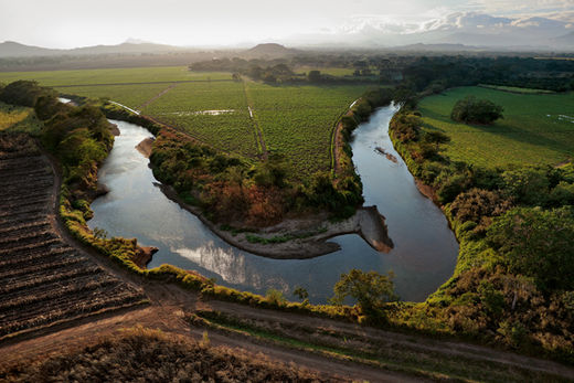 Une rivière serpente à travers des champs de canne à sucre, non loin d’El Cano. Peut-être considérées comme sacrées dans un lointain passé, les rives du cours d’eau pourraient abriter bien d’autres sépultures restant à découvrir.