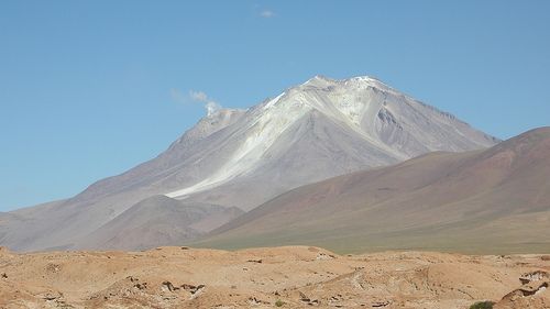Altiplano-Puma