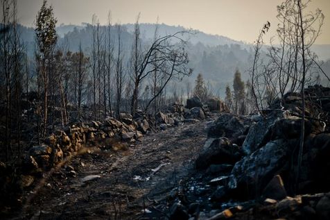 Un paysage de désolation dans les montagnes de Caramulo le 30 août 2013 après l'incendie