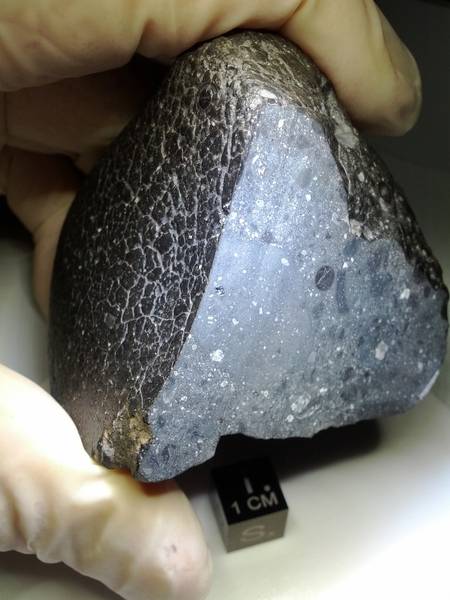 Surnommée Black Beauty (beauté noire), la météorite NWA 7034 trouvée en 2011 aurait la même origine que la météorite NWA 7533 découverte dans la même région.
