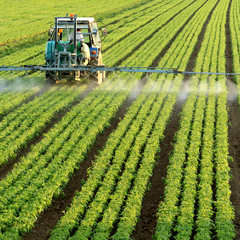 pesticides dans un champ