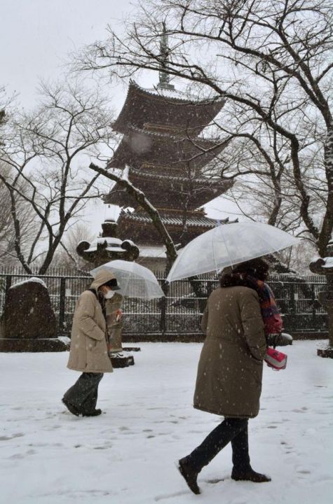 Japan snow