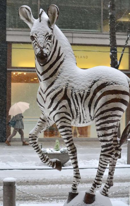 Japan snow