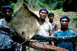 Les Penan protestent contre la destruction de leur forêt et de leur mode de vie.