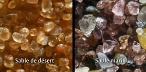 Différence entre sable marin et sable du désert