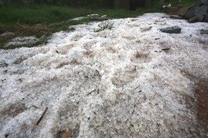 Cliquer pour agrandir Grêle